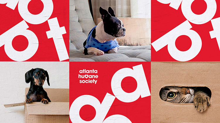 動物慈善機構AHS LOGO,動物慈善機構AHS品牌形象設計,動物慈善機構AHS標志,動物慈善機構AHS VI設計