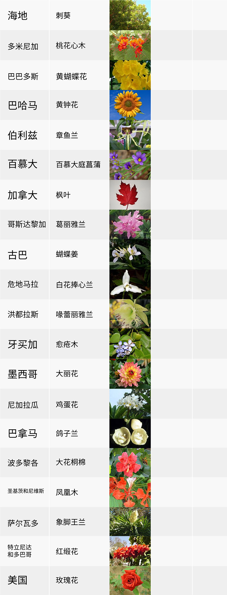 國花,生活,創意,設計,全力設計