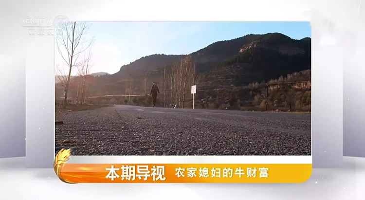 CCTV-17農業農村頻道LOGO,CCTV-17農業農村頻道標志,CCTV-17農業農村頻道品牌形象設計