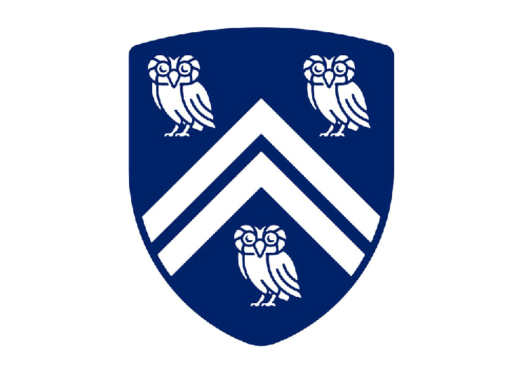 美國萊斯,大學,LOGO,設計