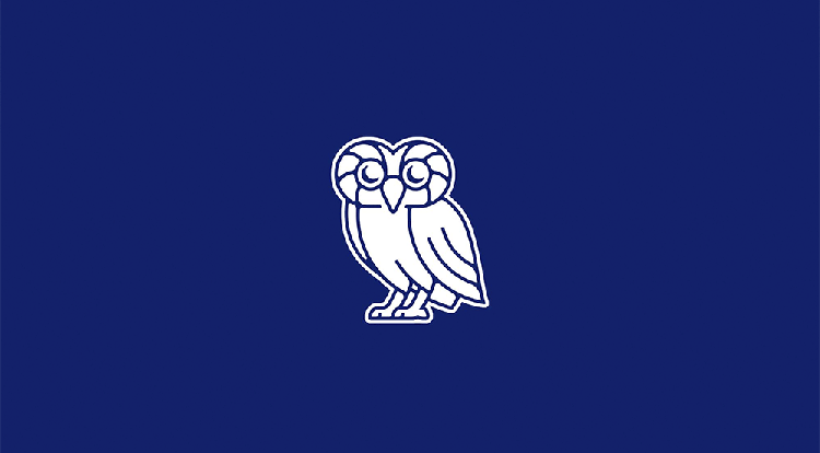 美國萊斯,大學,LOGO,設計