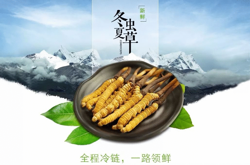 賣點,產品,創意,策劃