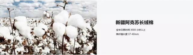 賣點,產品,創意,策劃