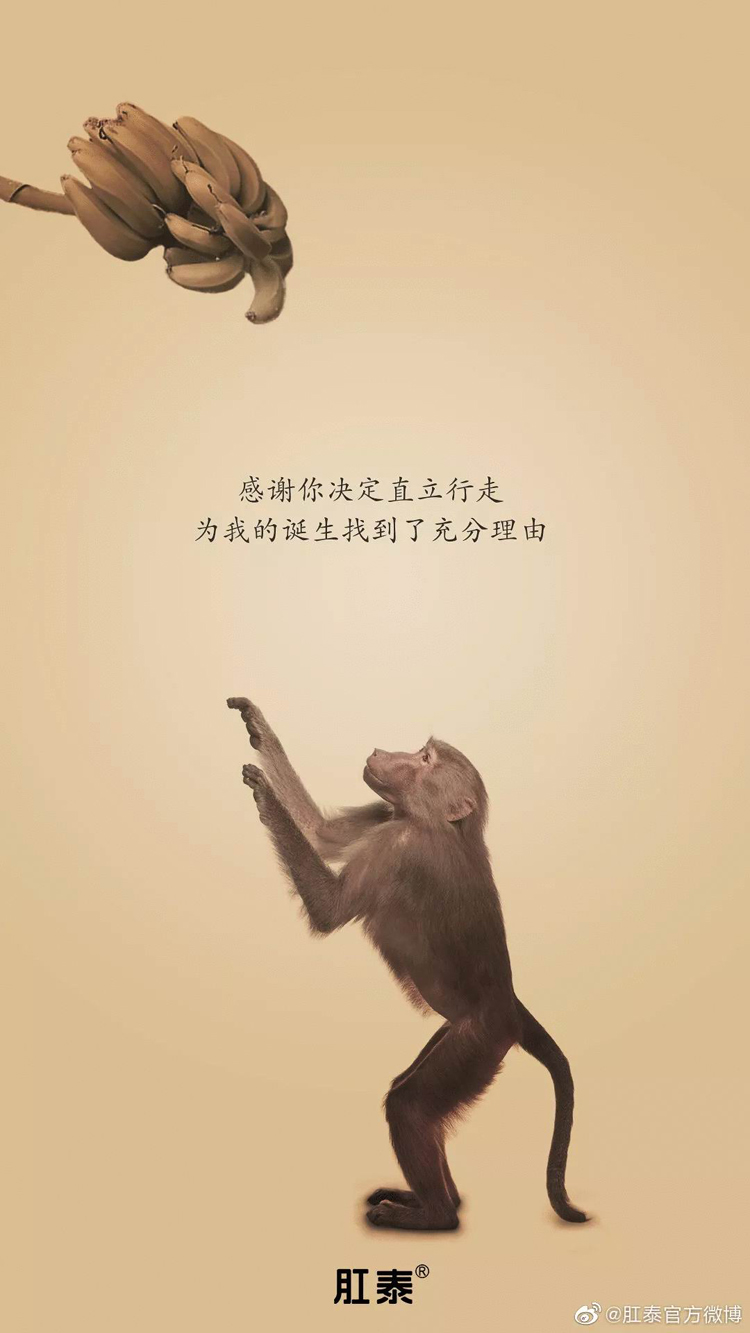 感恩節,品牌,海報,設計