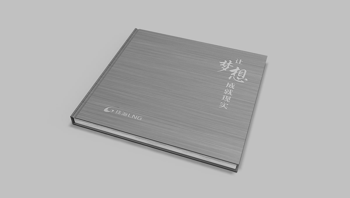 珠海LNG商標(biāo)設(shè)計,珠海LNG logo設(shè)計,珠海LNG畫冊設(shè)計