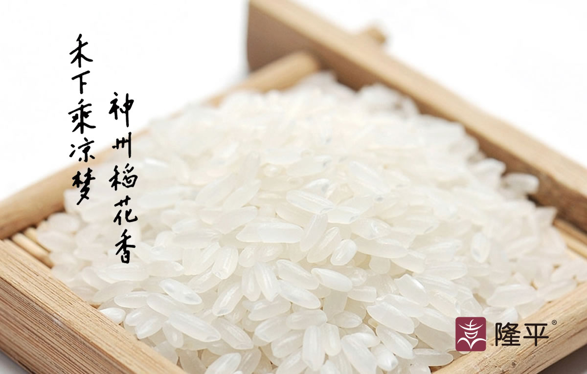 東莞商標設計,品牌商標設計,全力設計